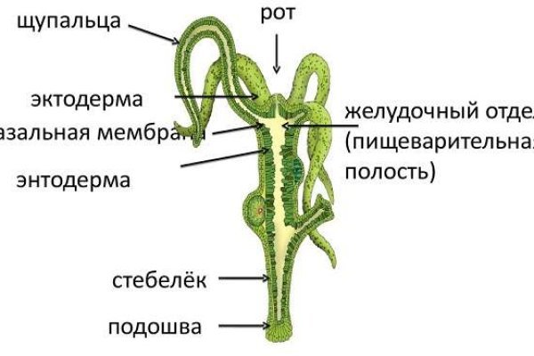 Kraken tor ссылка kraken014 com