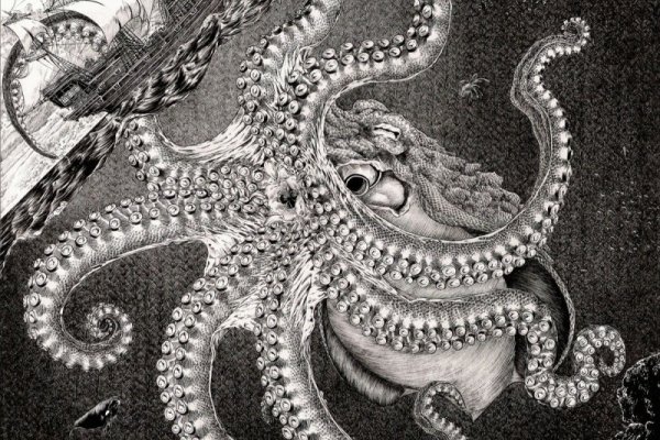 Правильная ссылка на kraken копировать