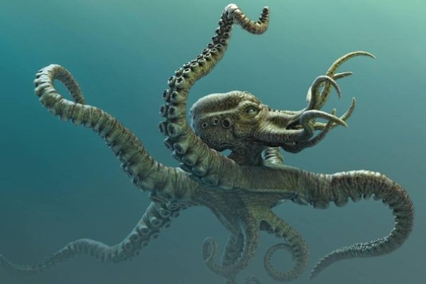 Зайти на kraken без тора