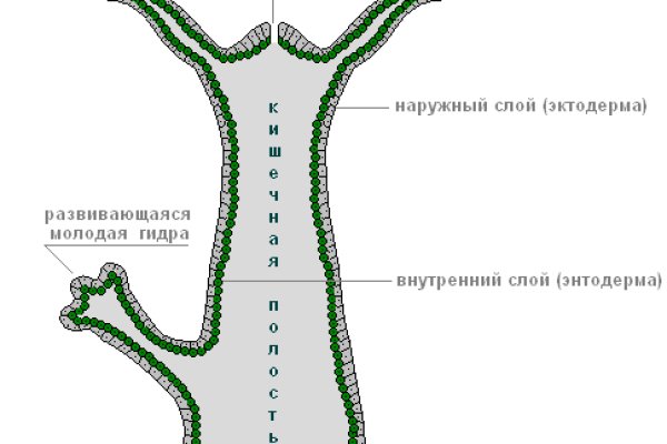 Как выйти на сайт кракен
